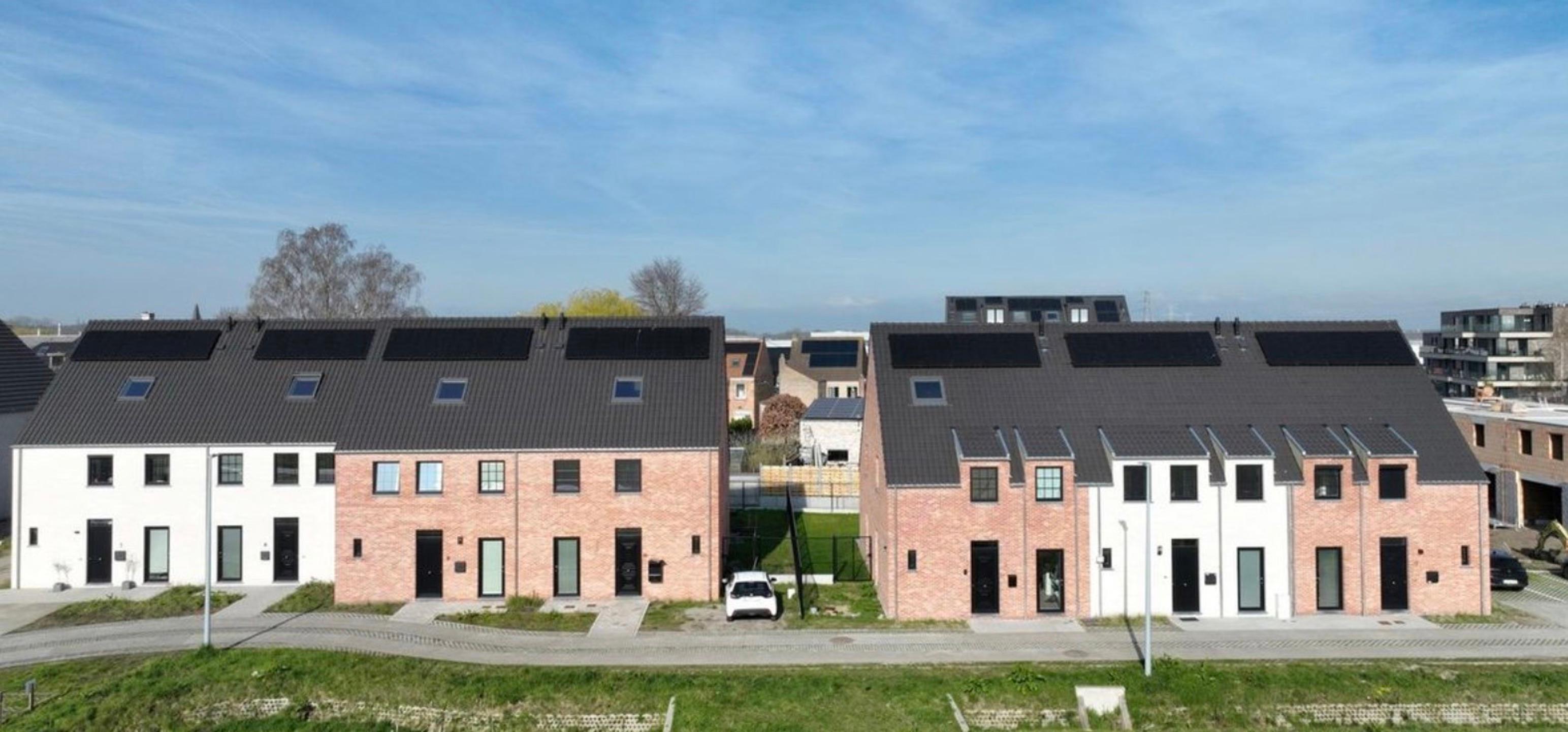 Project Collevijnstraat